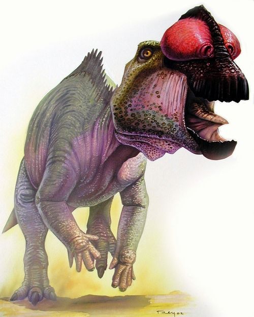 Dinosaur.net.cn'MUESUM 2003