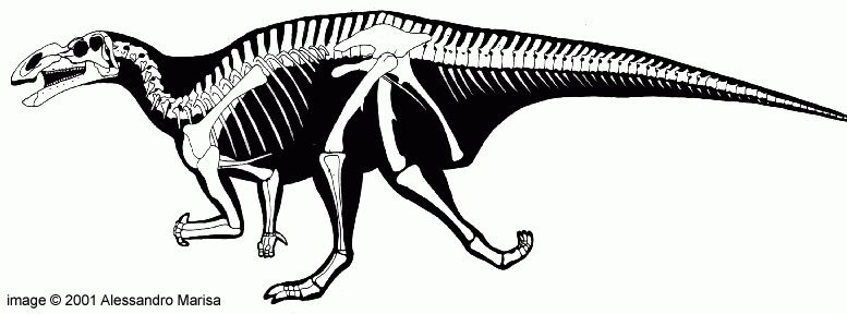 zaa-210♪La enciclopedia de los dinosaurios 1998/1/1