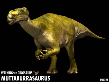 Dinosaur.net.cn'MUESUM 2003